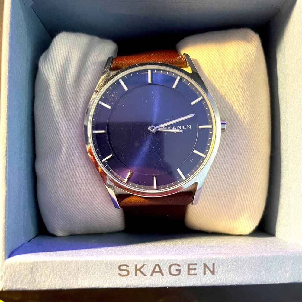 Skagen Holst Watch